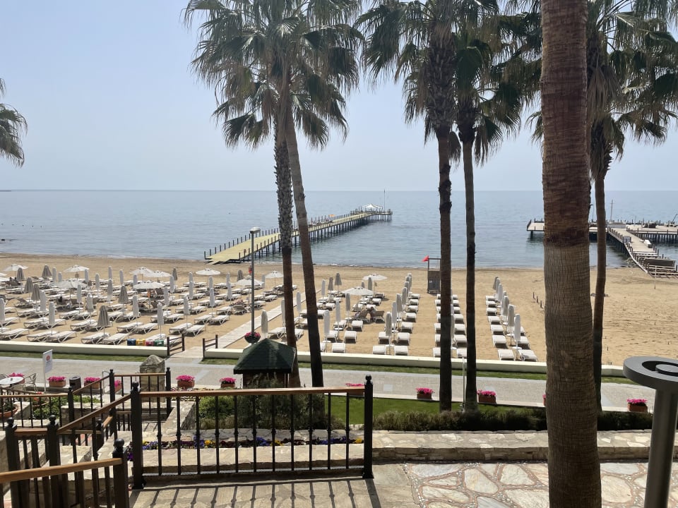 Ausblick Arum Barut Collection