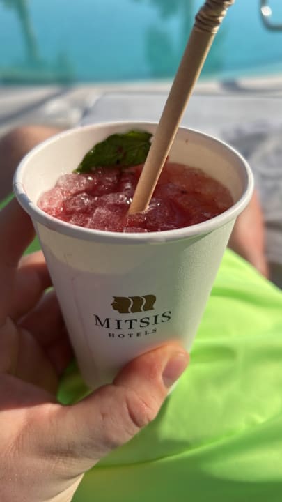 Gastro Mitsis Norida