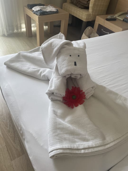 Zimmer Telatiye Resort