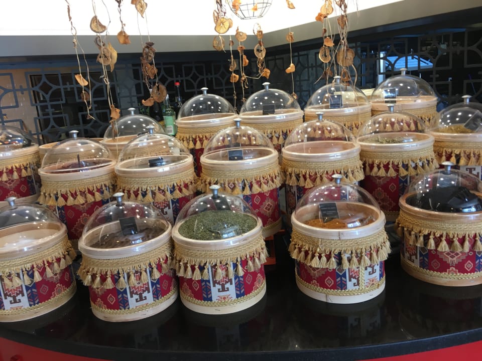 Gastro Seashell Vega