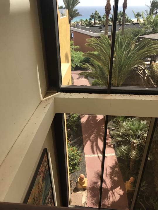 Lobby Occidental Jandía Royal Level - Adults only