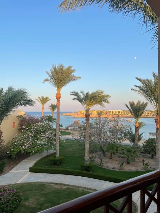 Gartenanlage Steigenberger Coraya Beach - Adults only