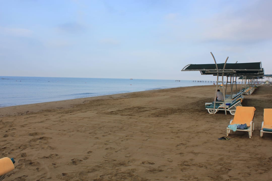 Der Strand am Morgen Papillon Belvil