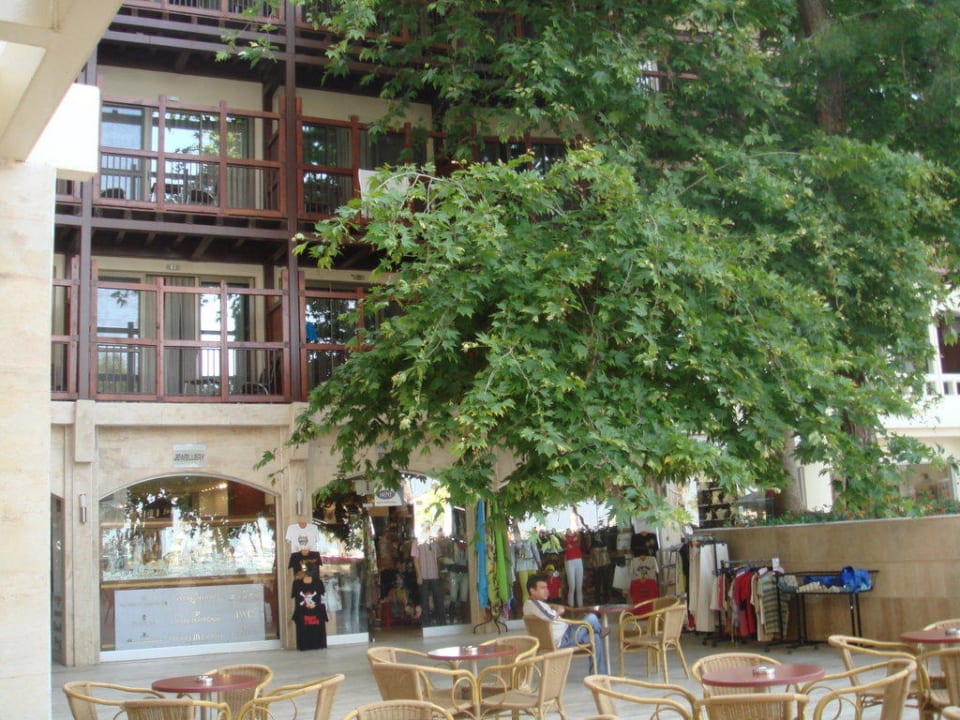 Genau hinter dem Baum war unser Zimmer Hotel Mirada del Mar