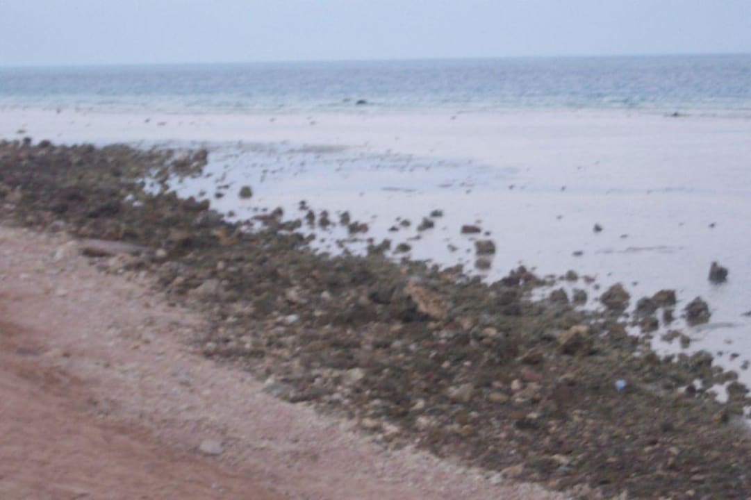 Naturbelassener Strand Makadi Palace