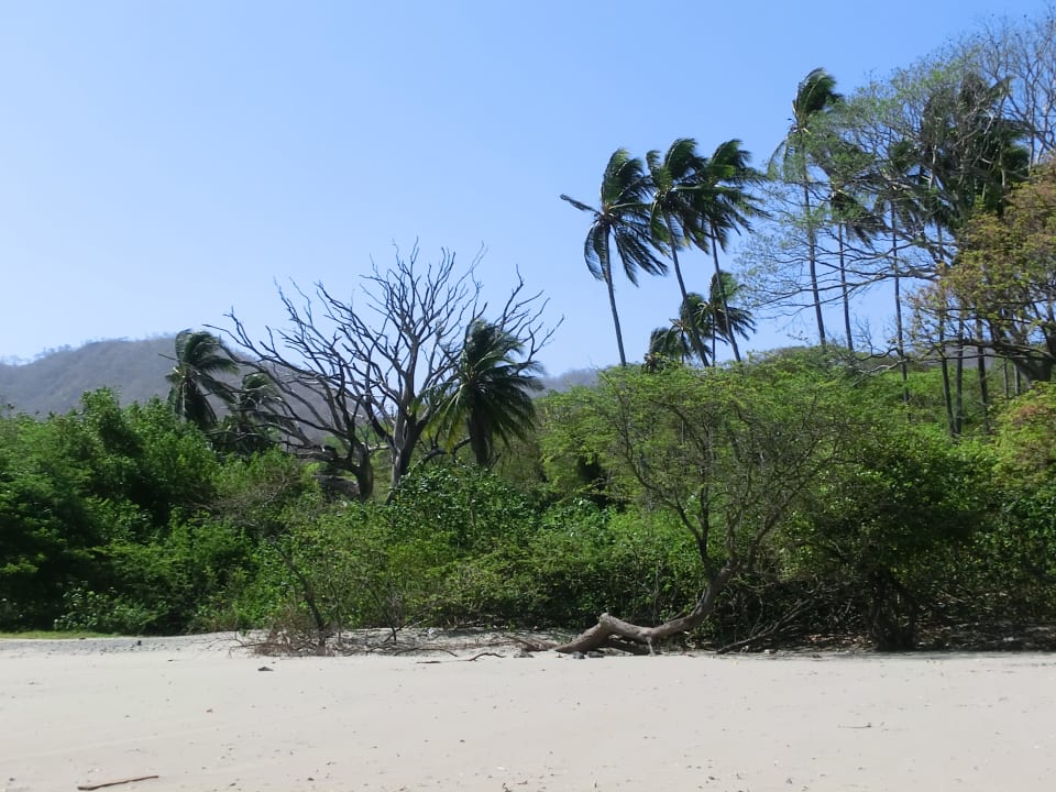Strandspaziergang Hotel Riu Guanacaste