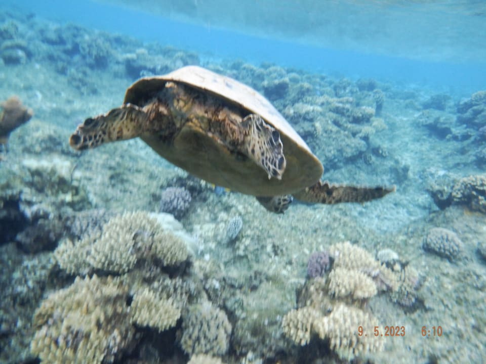 Sport & Freizeit Casa Mare Resort