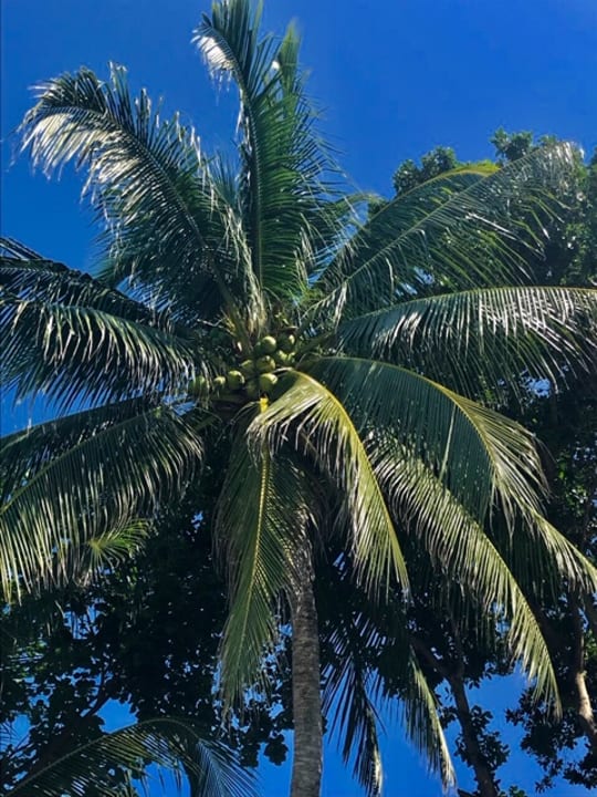 Gartenanlage Ao Prao Resort