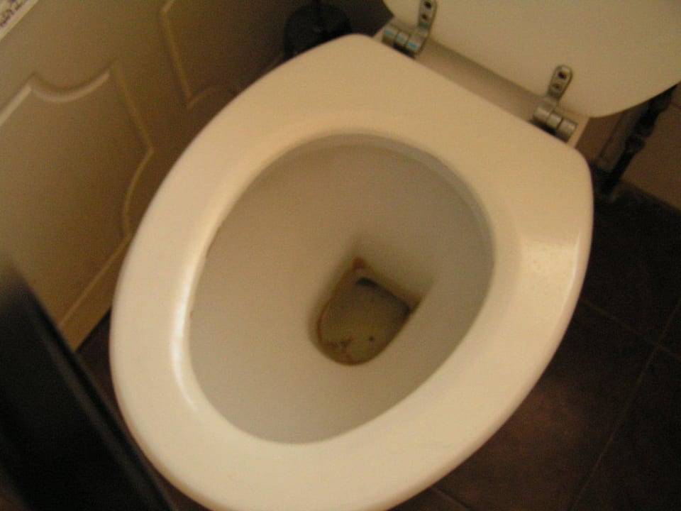 Klo bei Ankunft  Guesthouse Fulbourne