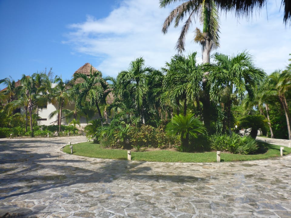 Gartenanlage Akumal Bay Beach & Wellness Resort