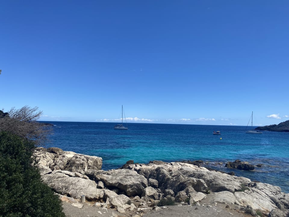 Gartenanlage Iberostar Waves Pinos Park