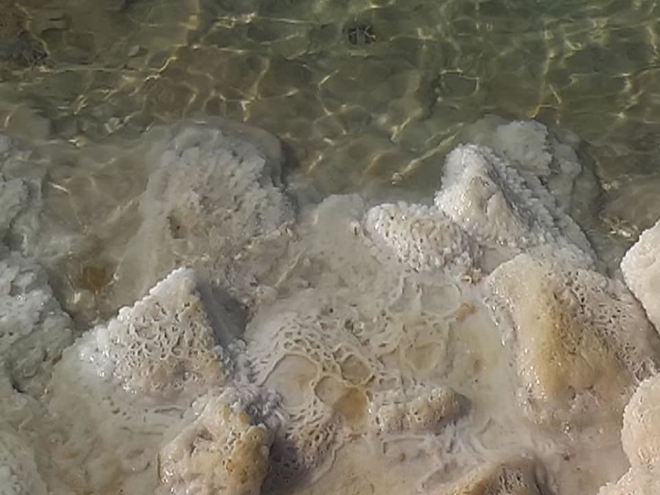 Plaża przy hotelu Royal Hotel Dead Sea