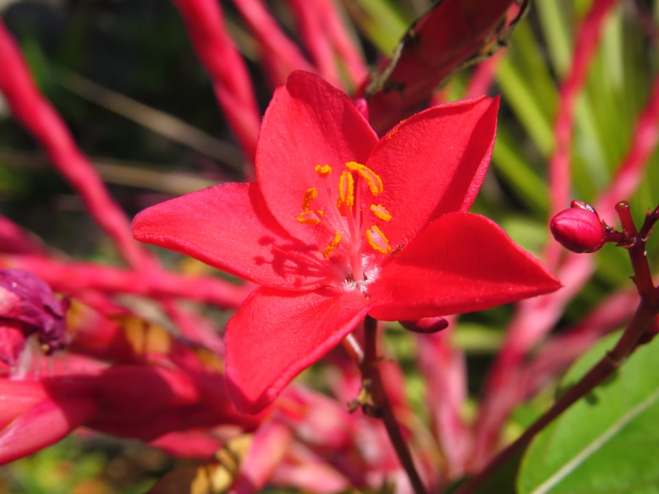 Gartenanlage Sol Rio De Luna y Mares