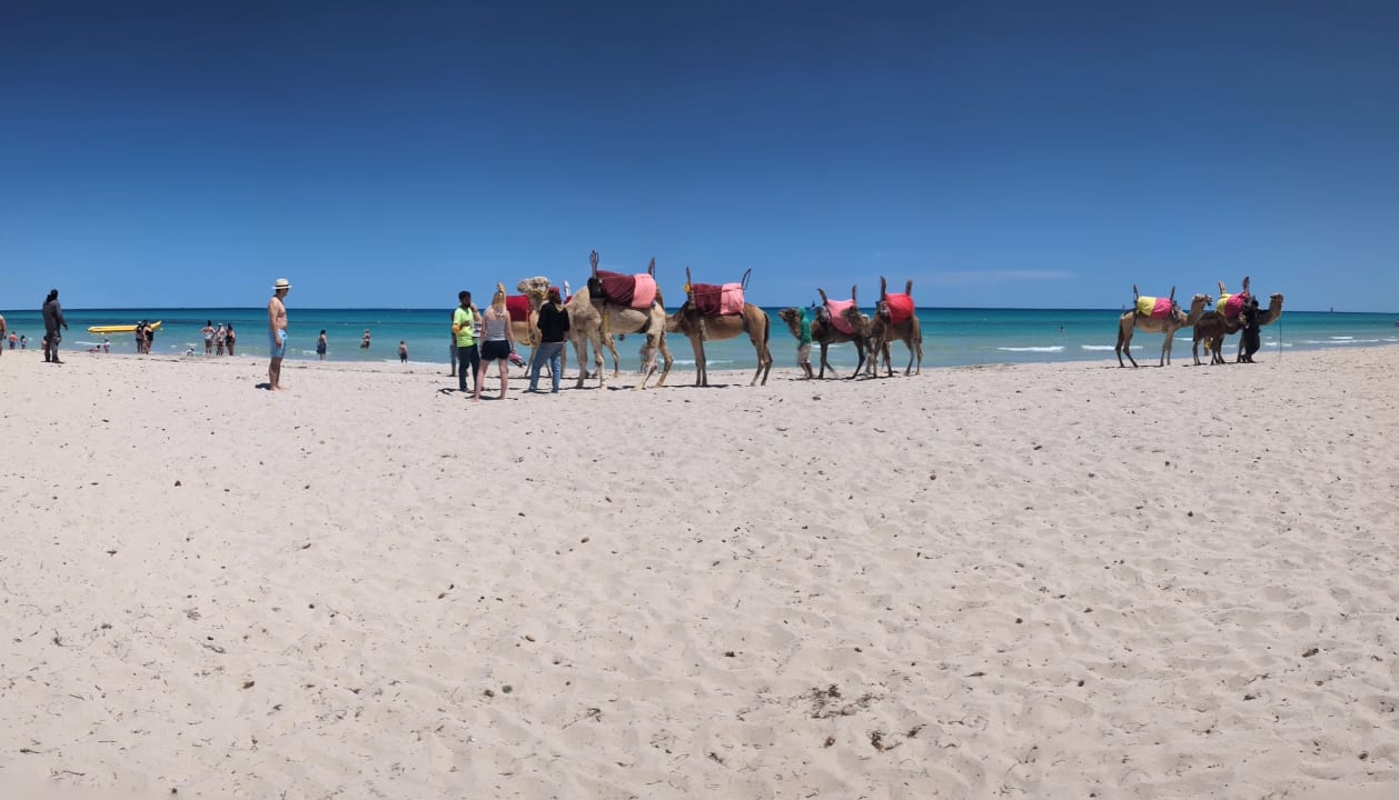 Strand TUI MAGIC LIFE Penelope Beach