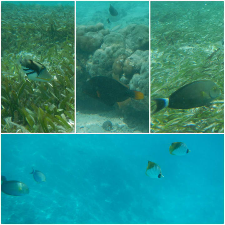 Sonstiges Adaaran Select Hudhuran Fushi - Premium All Inclusive