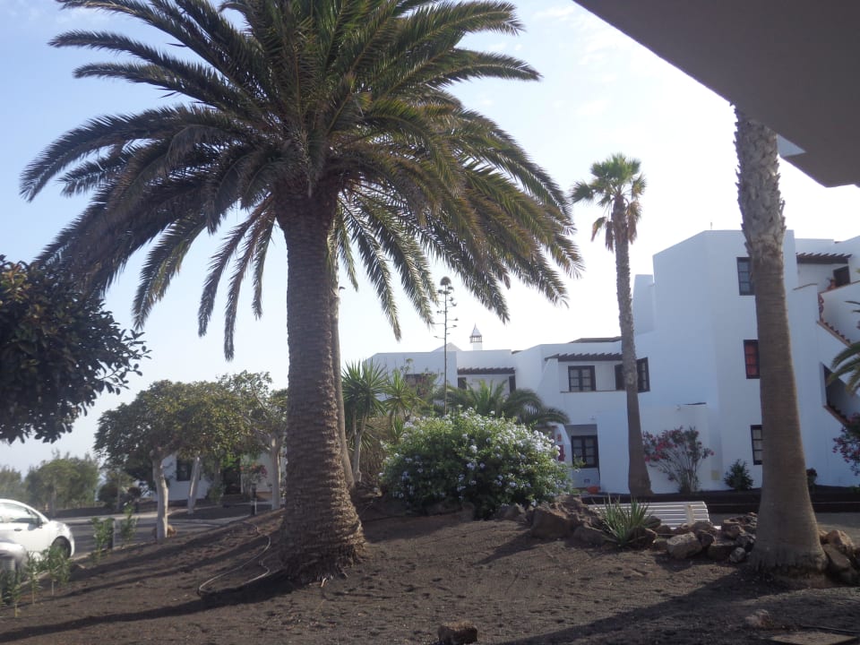 Von der Terrasse allsun App.-Hotel Albatros