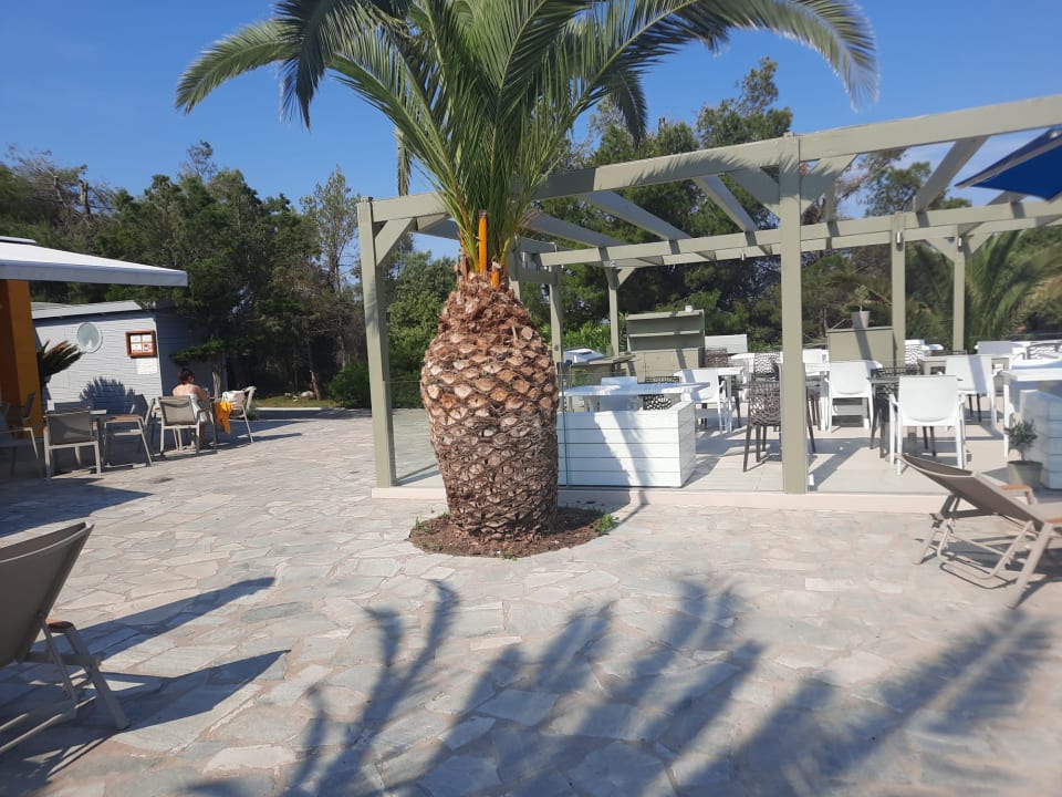 Gastro Hotel Mareblue Beach