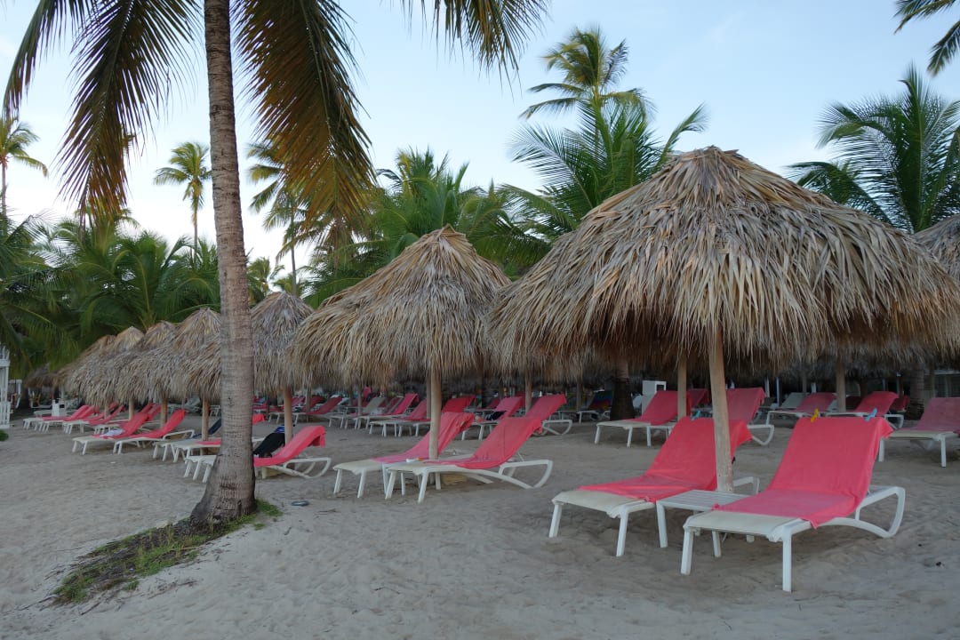 Strand Catalonia Royal La Romana - Adults only