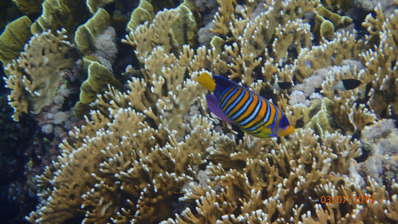 Strand Casa Mare Resort