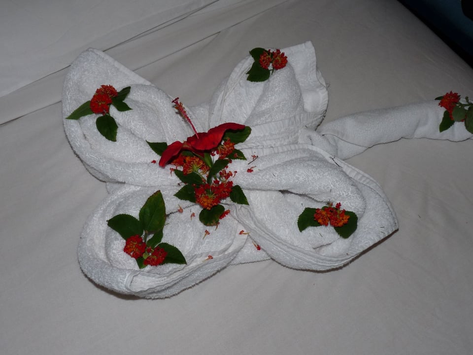 Zimmerboy als Künstler Sunny Days Palma De Mirette Resort & Spa