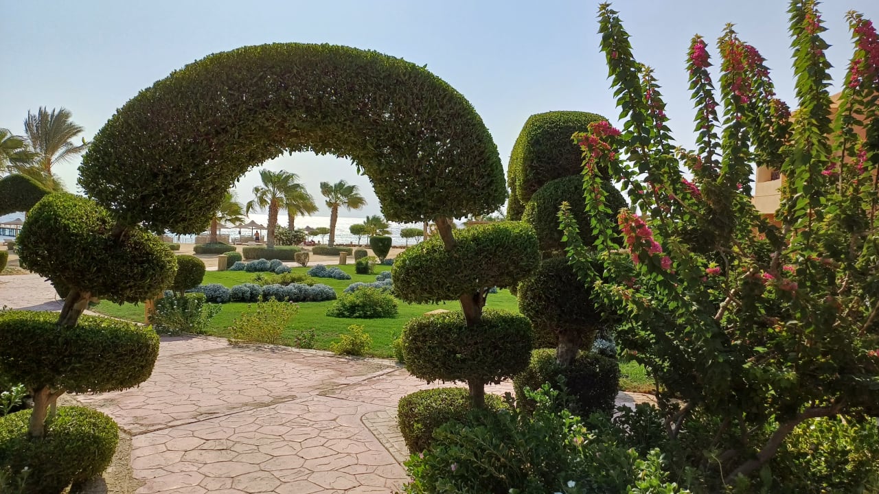 Gartenanlage Wadi Lahmy Azur Resort