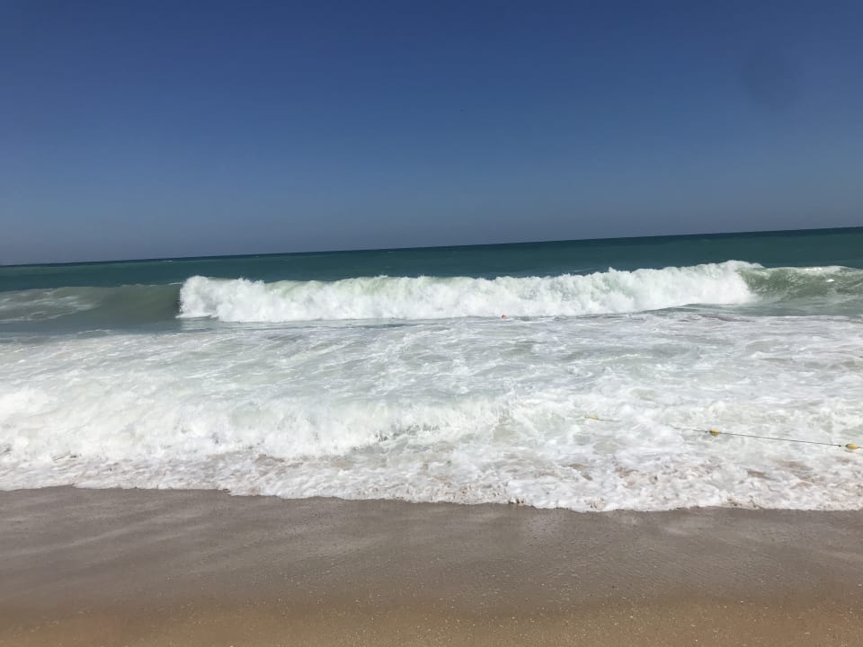 Strand Sentido Marea