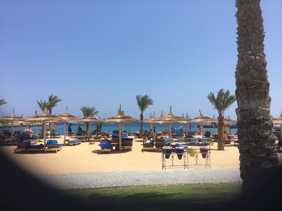 Ausblick Beach Albatros Resort