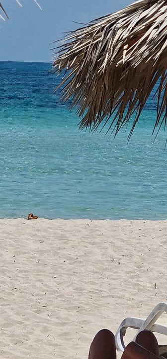 Strand Paradisus Princesa del Mar Resort & Spa - Adults only