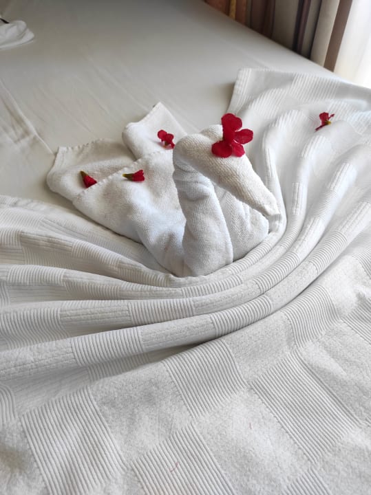 Zimmer Side Alegria Hotel & Spa - Adults only +16