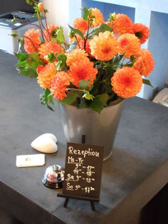 Von wegen durchgängig besetzt! Hotel Apart One