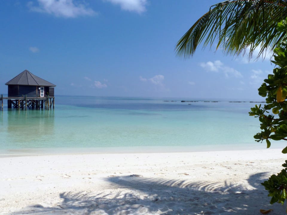 Blick vom Beachbungi Nr. 447 Kuredu Island Resort & Spa