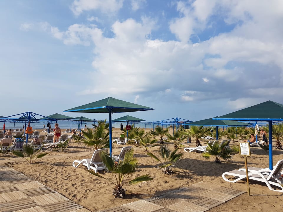 Strand Paloma Oceana
