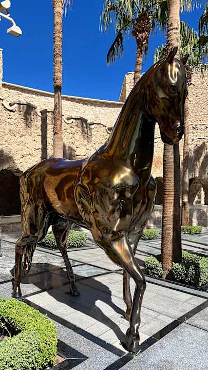 Sonstiges Pickalbatros Citadel Resort