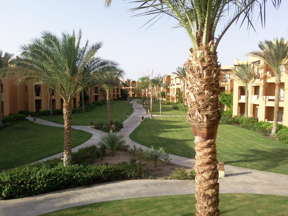 Blick vom Zimmer in den Garten Stella Beach Resort & Spa Makadi Bay
