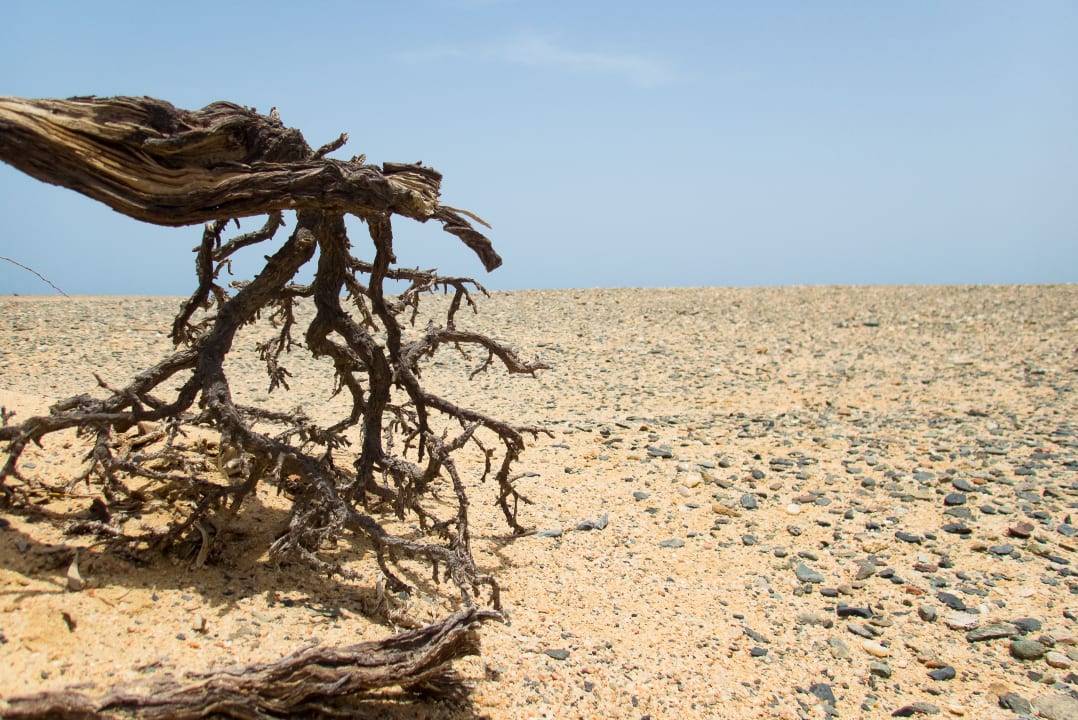 Strand Hilton Marsa Alam Nubian Resort