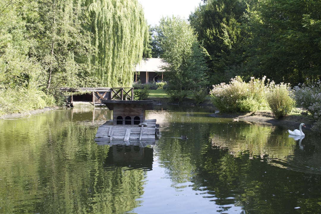 Blick vom Schwanenteich zum Zelt Hotel Villa Irma