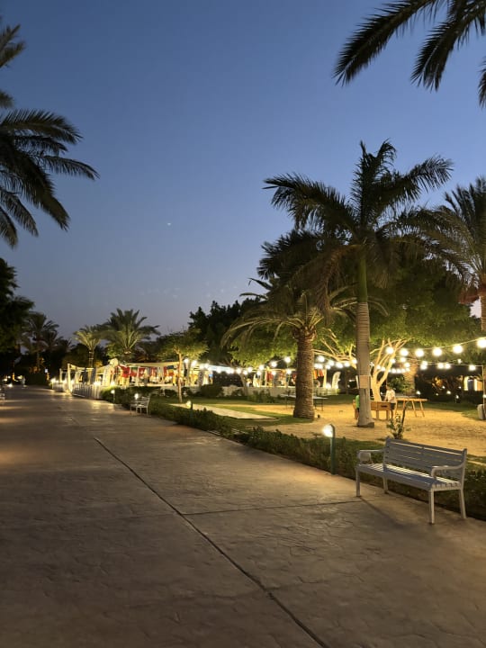 Sport & Freizeit Desert Rose