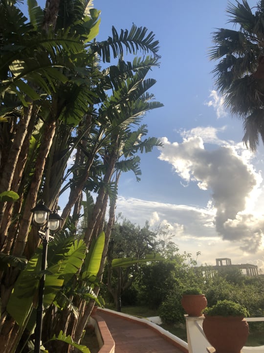 Gartenanlage Hotel Park Imperial Terme