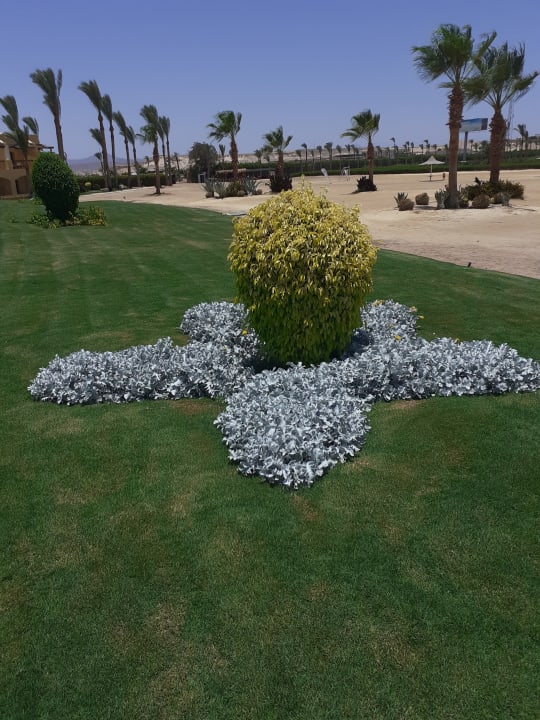 Gartenanlage Jaz Solaya