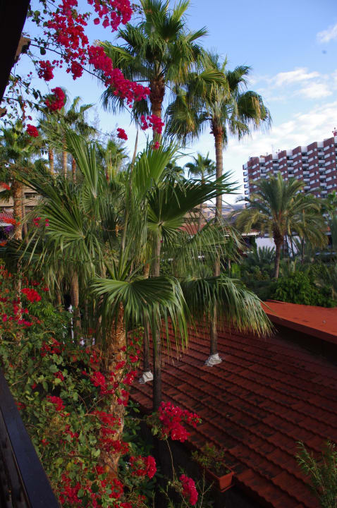 Blick vom Balkon in den Garten Hotel Parque Tropical