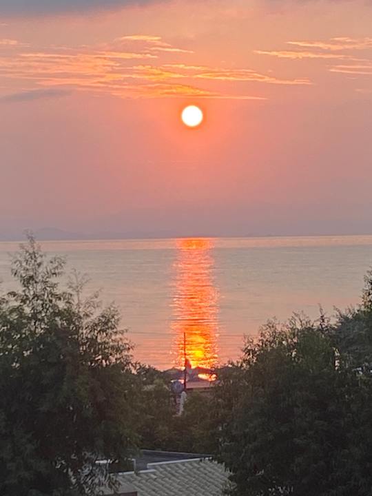 Ausblick Hotel Albatros