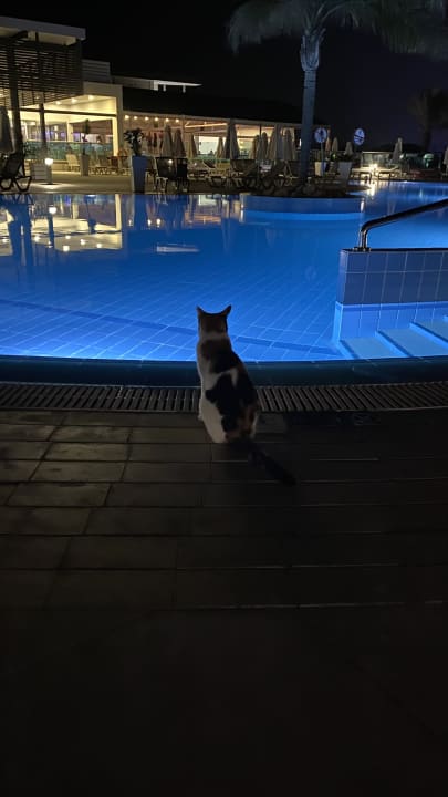 Pool Asterias Beach