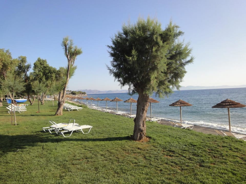 Liegewiese/Hotelstrand TUI BLUE Oceanis Beach and Spa Resort