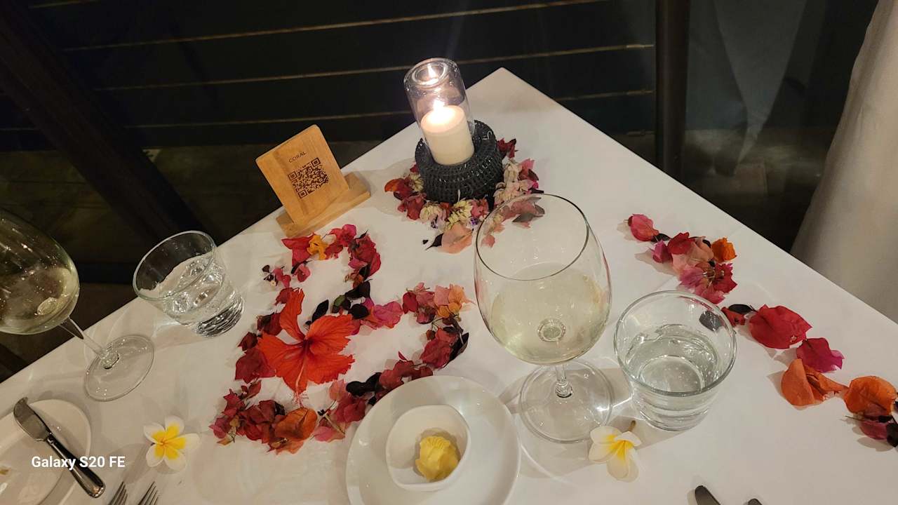 Gastro Lagoon Attitude - Adults only