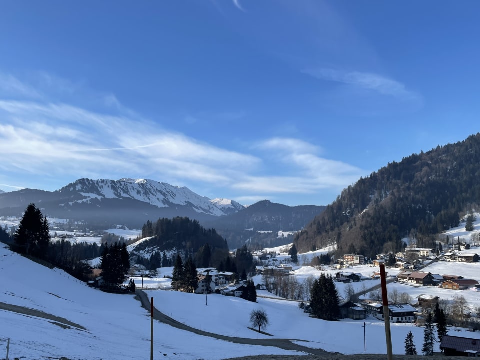 Ausblick Alpenhotel Oberstdorf