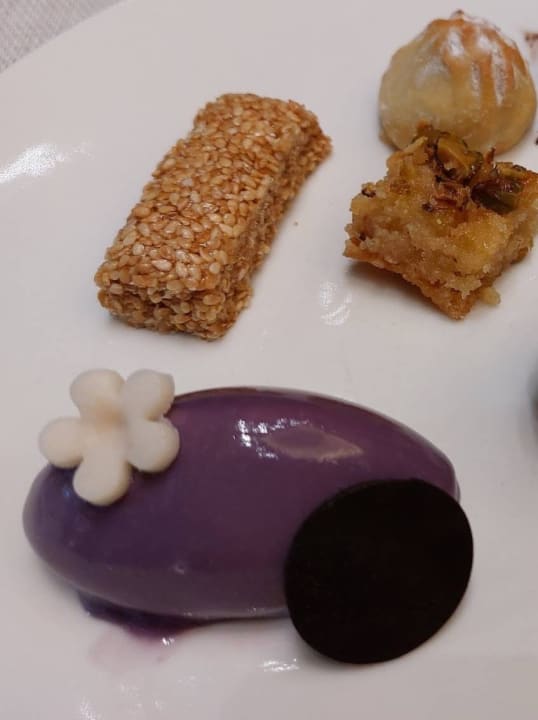 Gastro JAZ Elite Casa del Mar Beach