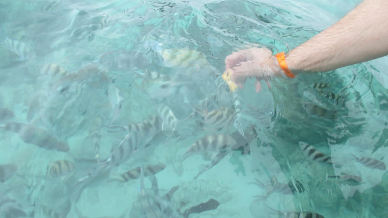 Strand Neptune Paradise Beach Resort & Spa