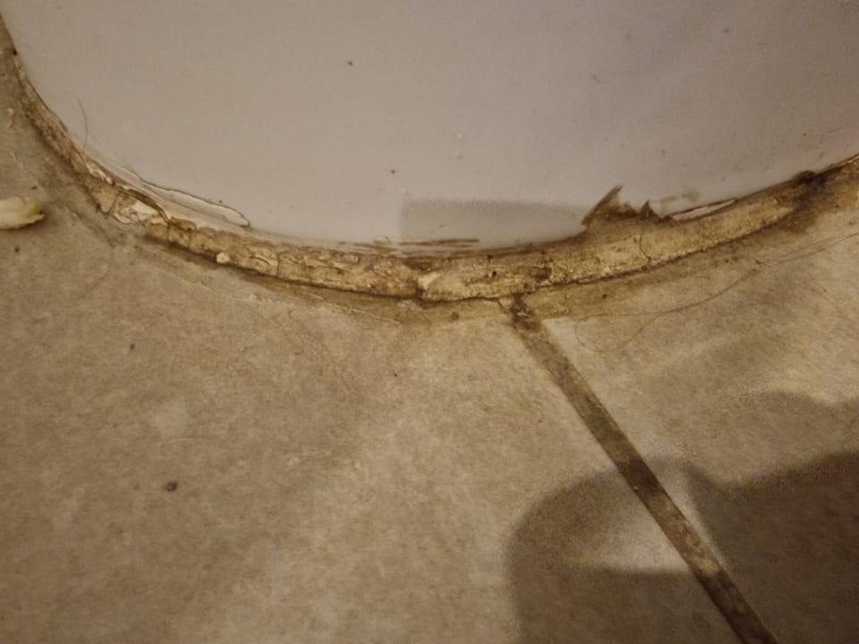 Zimmer Pickalbatros Citadel Resort