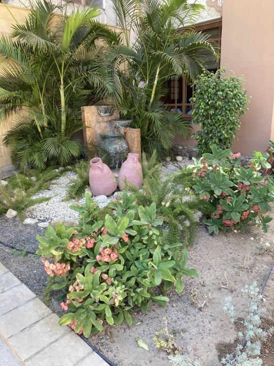 Gartenanlage Pickalbatros Palace Resort