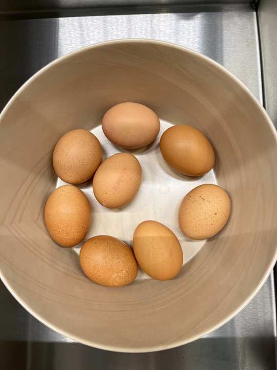 Gastro MEININGER Kraków Centrum